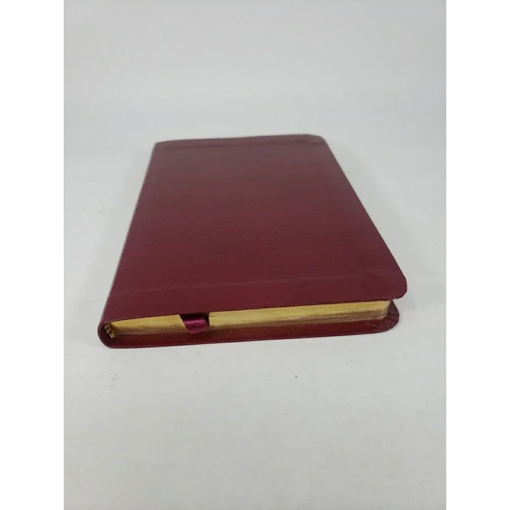 It's Alive! NLT by Tyndale House Bible (2003, Bonded Leather) Burgundy Box